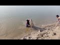 | Net fishing on river | | satlujh Dria men Jaal k sath machli pakrrny ka nanzar | | fishing videos