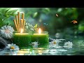 Calming Piano Music 🌿 Spa & Relaxing Music with Water Sounds ~ Relieve Stress & Find Peace