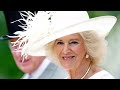 Man Who Claims To Be King Charles & Camilla's Son Drops DNA Bombshell