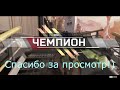 APEX LEGENDS Победа? Бладхаунд с сильным союзником не щадят никого.