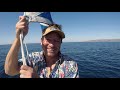 Complete Tour of a Catalina 25 Foot Sailboat