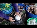 Coconut Cutting Skills! Cutting Millions of Coconut per day | Thai Street Food