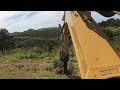 Clearing gorse