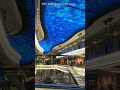 MSC World Europa 2023 aquarium
