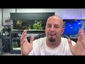 Maintaining A Sand Substrate In Your Aquarium! KGTropicals!!