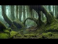 FANGORN FOREST - atmospheric ambient soundscape - ethereal ambient music and visuals