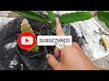 How to plant dragon fruit in pots so that it grows quickly and bears fruit...