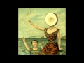 Neutral Milk Hotel - In the Aeroplane Over the Sea (DEMO) (early live version)