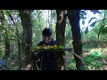 Camping alone. An asian in european jungles. Video trailer. welcome to my channel.  subscribe me.
