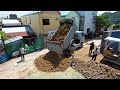 Started New Project!! Dozer D20P & Truck 5T pushing stone Pour dry soil into flooded space