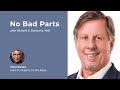 Richard Schwartz: No Bad Parts