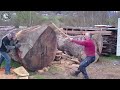 199 Incredible Fastest Big Chainsaw Cutting Tree Machines ▶7