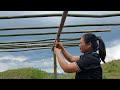 FULL VIDEO:16 year old single mother harvests jackfruit,cooks,gourds