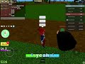 Playing Roblox Till I Get Banned