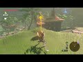 The Legend of Zelda BotW; Korok Seed in Lurelin Village