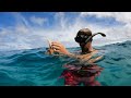 How to Catch KONA Crabs by Hand - Freediving Hawaii