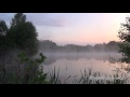 Fog in the Morning on the Lake with Beautiful Nature and Nature Sounds for Relaxation and Meditation