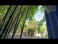 Jardin Majorelle - Garden Majorella in Marrakesh, Morocco 🇲🇦