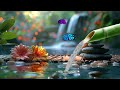 Bamboo Water Fountain || Stress Relief Music, Sleep Music, Meditation Music, Study, Forest Sounds