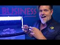 SETTING UP A SALTWATER BIOCUBE! | BIOCUBE 101