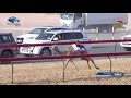 camel race