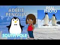 NORTH SOUTH POLE KIDS CARTOON. EMMA EXPLAIN WHAT POLAR ANIMAL LIVE ON NORTH AND SOUTH POLE.