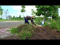 The Sidewalks are unusable - Overgrown With Weeds Occupying The Entire Pedestrian Walkway