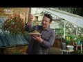 Jamie’s veg-packed noodles | Tesco with Jamie Oliver in partnership with WWF