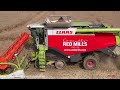 James O'Reilly Harvesting Oilseed Rape 2023