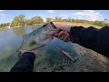 Wolf Pack of Feeding Bass, caught 6 lunkers! | Favorite Fall time color!