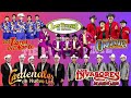 Lo Mas Nuevo Tierra Caliente 40 Mix 2024  Exitos de Los Players • Tierra Cali • La Dinastia