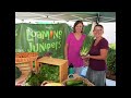 How to become a BETTER Farmers Market Vendor