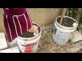 The Dipstick And Bucket Method To Gardening